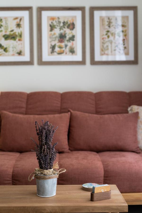 Le Provencal De Coup De Coeur Appartements Βαλένθια Εξωτερικό φωτογραφία